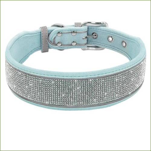 Colliers molosses larges Bleu / M