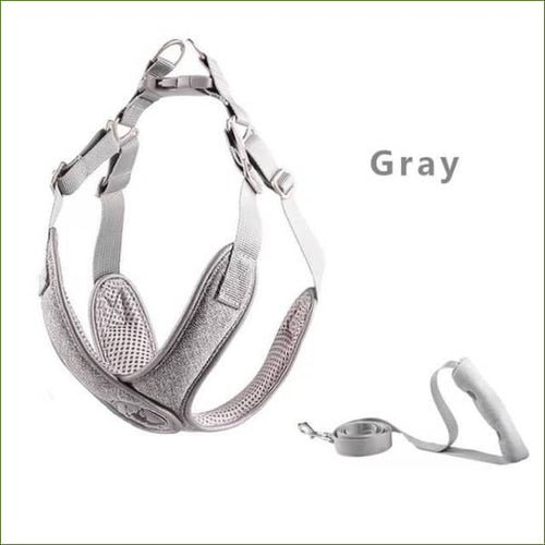 Harnais pour teckel COMFORT X ajustable et confortable - Ensemble gris / M-PEPERE SHOP