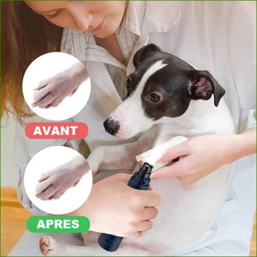 Coupe Ongle De Chien Électrique Petnail Professionnel de pépère-shop