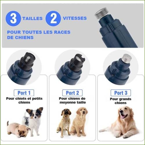 Coupe Griffes De Chien Électrique Petnail Professionnel
