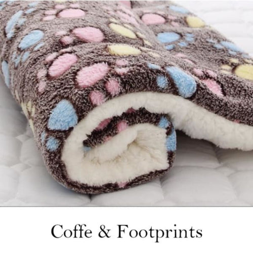 Café/pattes / M 49x32cm