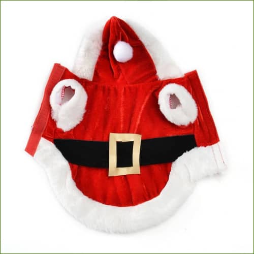 Déguisement De Noel Pour Chien vue de dessus