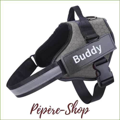 Harnais avec prénom - PEPERE SHOP