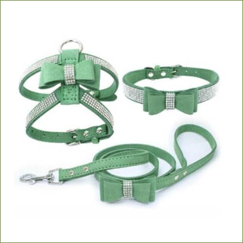 Harnais collier et laisse pour chiot Cyan / L