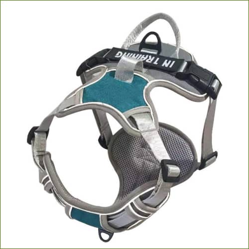 Harnais Respirant Avec Poignée Bandes Réfléchissantes Bleu / L