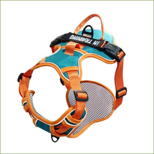 Harnais pour chien Respirant Orange / L