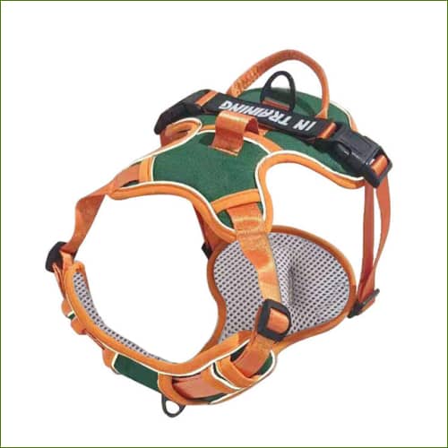 Harnais Respirant Avec Poignée Bandes Réfléchissantes Vert Orange / L