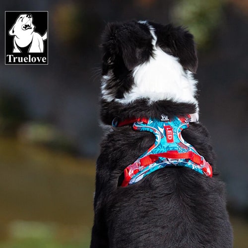 Harnais chien truelove country+