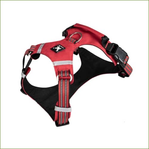 Harnais pour chiens De Marche Rouge / Xl