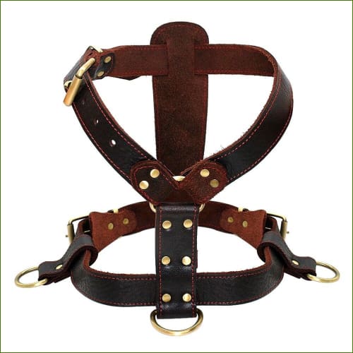 Harnais 3 points d'attache pour chien - modèle en cuir véritable avec boucles à ardillons - -PEPERE SHOP