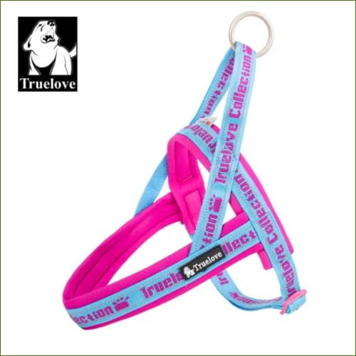 Harnais rembourré Fushia / XXS