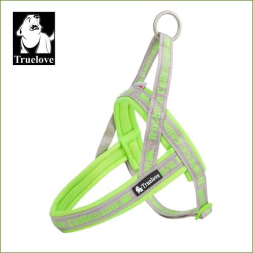 Harnais pour animal de compagnie Vert clair / M