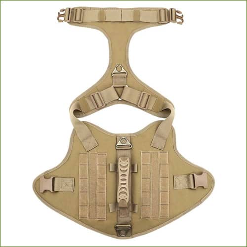 Harnais berger allemand vue de face