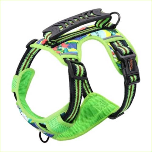 Harnais pour animaux MIDOG Vert / L