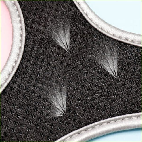 harnais pour yorkshire toy