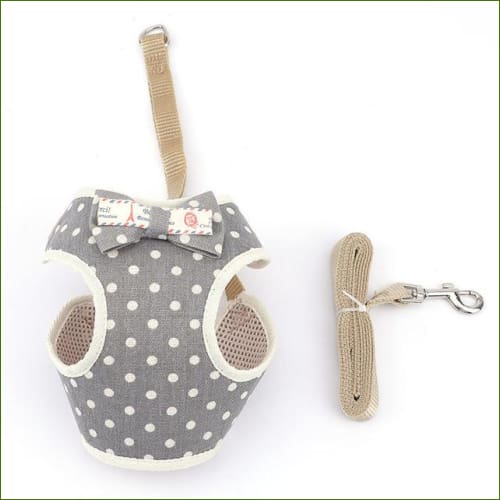 Harnais pour chiot - modèle design - avec laisse assortie - color 5 / S-PEPERE SHOP