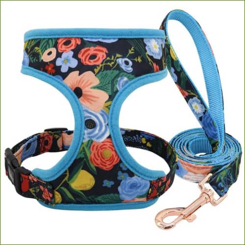 Harnais - bleu+laisse / S