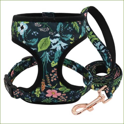 Harnais - noir+laisse / S