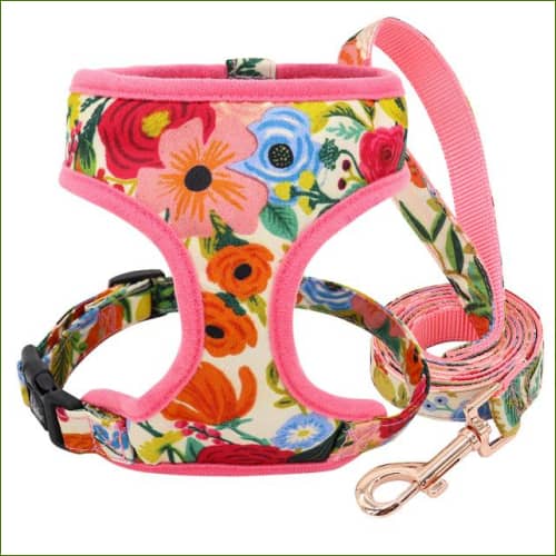 Harnais - rouge+laisse / S