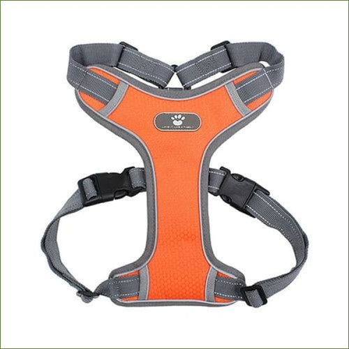 Harnais pour Husky - Husky Sibérien Orange / M