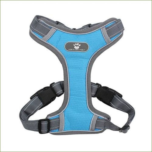 Harnais pour Husky - Husky Sibérien Bleu foncé / L