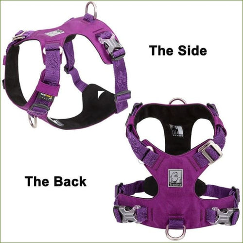 Harnais pour chiens malinois