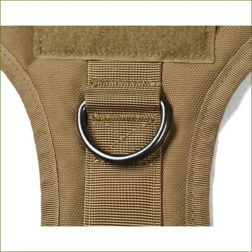 Harnais tactique pour entrainement et formation pour grand chien - détail anneau avant