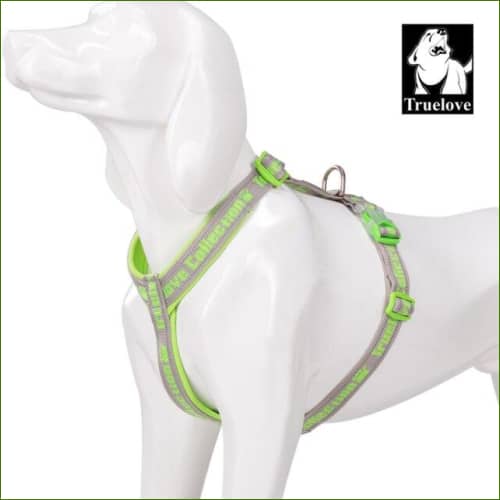 Harnais léger et ajustable - Vert / L