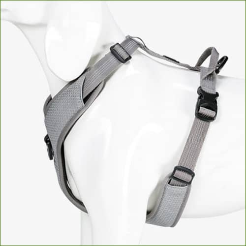 Harnais canin no pull facile à mettre