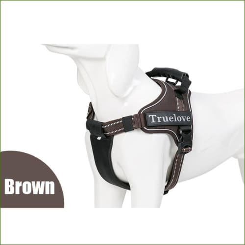 Marron / XXL 82-115 CM