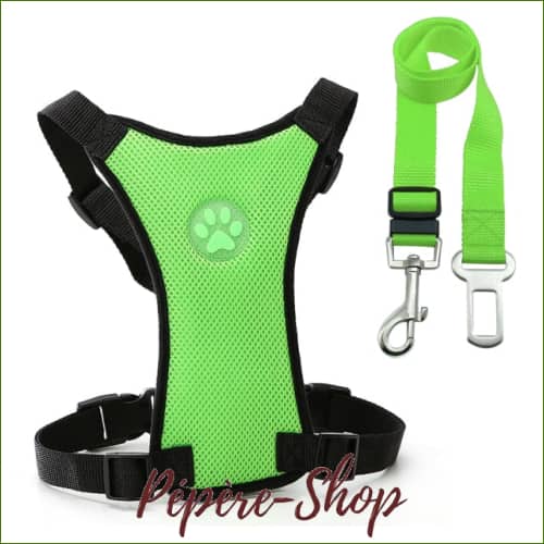 Harnais Voiture pour chien Avec Laisse De Sécurité Vert / L
