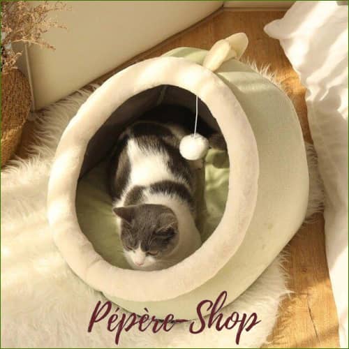 Igloo Design Et Coloré Pour Chat Motif 1 / S