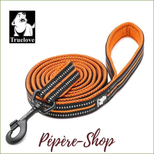 Laisse de chien en nylon à mailles souples TRUE LOVE - réfléchissante avec mousqueton et poignée - -PEPERE SHOP