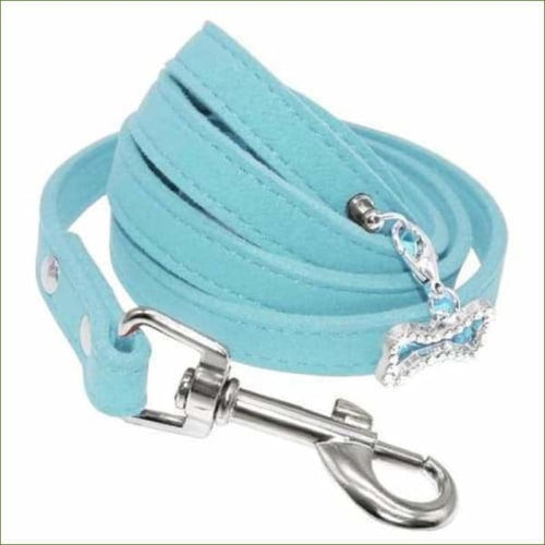 Laisse de chien en cuir de luxe bleu
