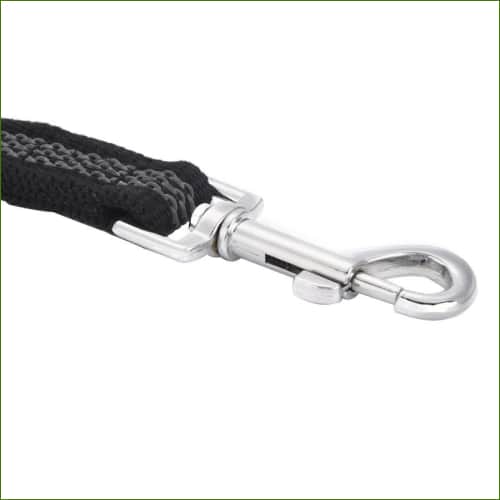 Laisse avec mousqueton en acier