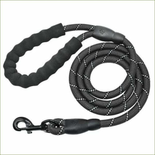 Laisse réfléchissante pour chien - en nylon solide avec mousqueton - Black / 150cm-PEPERE SHOP