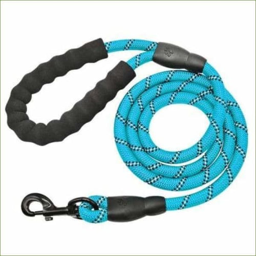 Laisse réfléchissante pour chien - en nylon solide avec mousqueton - Blue / 150cm-PEPERE SHOP