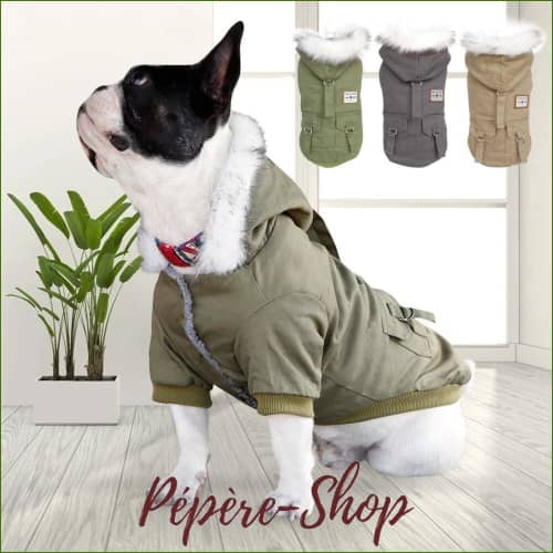 Manteau Chaud Pour Petit Chien Avec Capuche En Fourrure