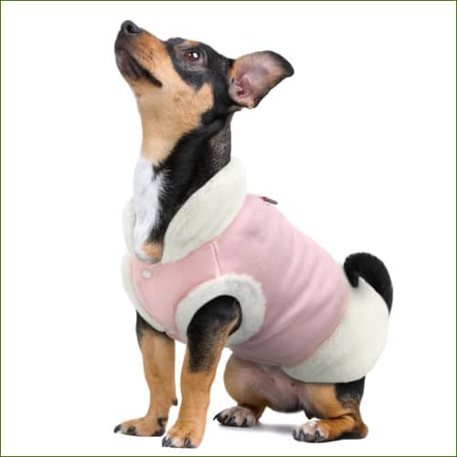 veste Polaire pour animal de compagnie Avec Col fourré
