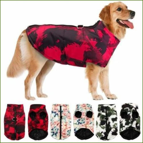 Manteau original , motif coloré pour grand chien avec tous les modèles représentés