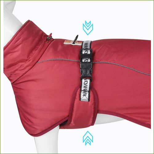 Manteau Pour Golden Retriever - Imperméable