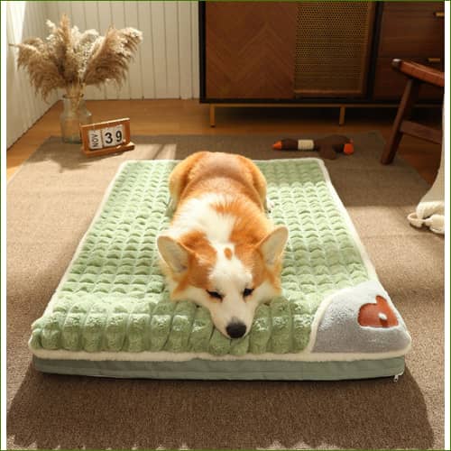 Matelas Imperméable Et Déhoussable canin
