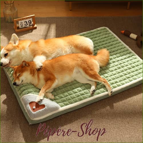 Matelas Mémoire De Forme Pour Grand Chien - Imperméable Et Déhoussable Matelas