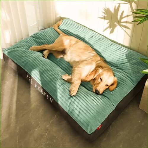Matelas Xxl Pour Chien Forme Rectangulaire Confortable Matelas