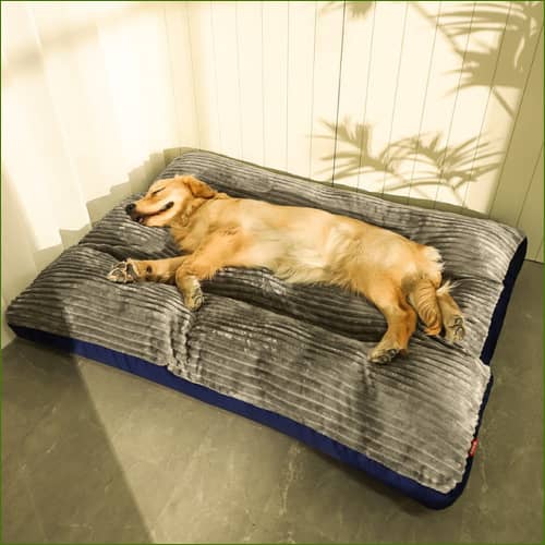 Matelas Xxl Pour Chien Forme Rectangulaire Confortable Large / Bleu Matelas