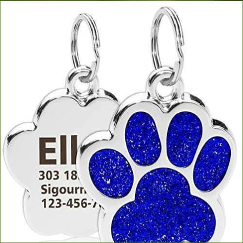 Médaille Gravée Pour Chien - Modèle Design De Luxe Bleu / L