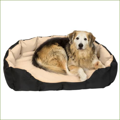 Panier pour labrador - confortable, avec coussin et tapis -en situation avec un chien