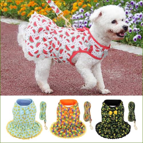 Robe Pour Chien Chic Et Élégante Avec Laisse Assortie