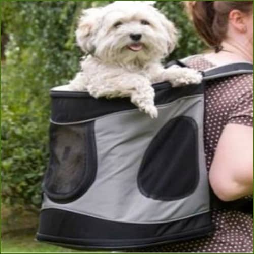 Sac à dos marche et randonnée pour chien de 12kg maxi avec petit chien bichon