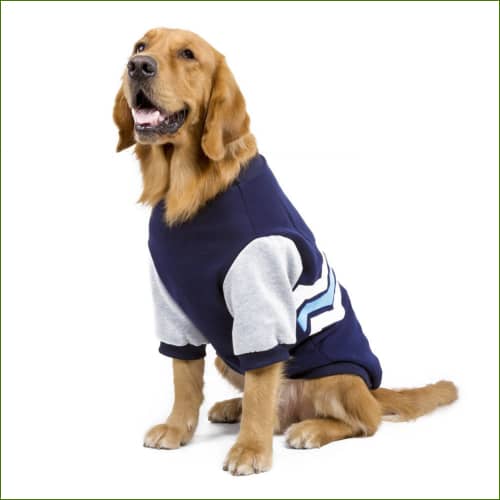Sweat Grand Chien Automne Et Hiver Bleu / Xxxl